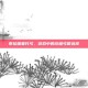 泰拉瑞亚代弓，游戏中的终极弓箭选择