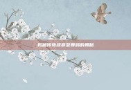 揭秘传奇续章至尊码的奥秘