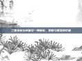 三国杀新台词偏安一隅解析，策略与智慧的较量