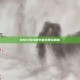 DNF2011春节套外观全解析
