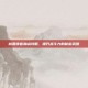 桃园侠客加点攻略，提升战斗力的秘密武器