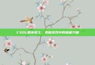 CSOL精英骑士，揭秘游戏中的隐藏力量