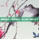 遗世独立，风骨自华—记大掌门黄衫女子
