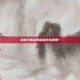 洛克王国冰系超进化在哪里？