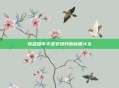 侠盗猎车手圣安地列斯秘籍大全