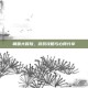 萌兽大冒险，游戏攻略与心得分享