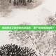 揭秘降龙之剑职业选择指南，哪个职业最适合你？