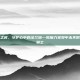 以圣光之名，守护心中的法兰城—致魔力宝贝中永不倒下的圣骑士