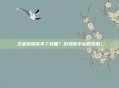 王者荣耀买不了装备?游戏新手必看攻略!