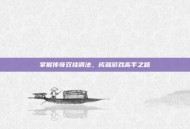 掌握传奇双挂调法，成就游戏高手之路