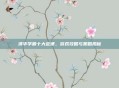 清华学霸十大定律，游戏攻略与策略揭秘
