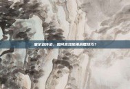 塞尔达传说，如何高效使用滑盾技巧？