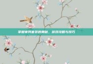 掌握审判套装的奥秘，游戏攻略与技巧