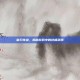 破刀传说，揭秘游戏中的终极武器