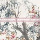 探索阴阳师涂壁的奥秘，哪里可以找到丰富的涂壁资源？