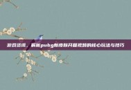 游戏资讯，解析pubg新皮肤开箱视频的核心玩法与技巧