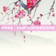 掌握未来，全球修行技术学校的游戏攻略