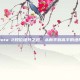 掌握Dota 2段位提升之道，从新手到高手的进阶攻略
