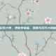 彩虹六号，更新季来临，策略与技巧大揭秘