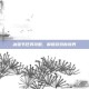 冰雪节任务攻略，解锁游戏新境界