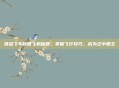 侠盗飞车秘籍飞机秘籍，掌握飞行技巧，成为空中霸主
