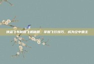 侠盗飞车秘籍飞机秘籍，掌握飞行技巧，成为空中霸主