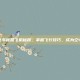 侠盗飞车秘籍飞机秘籍，掌握飞行技巧，成为空中霸主