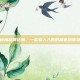 揭秘梅利奥达斯，一款引人入胜的角色扮演游戏