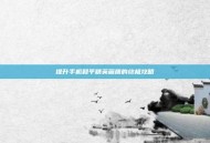 提升手机和平精英画质的终极攻略