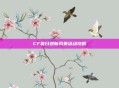 CF夏日迎新风暴活动攻略