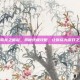 皇帝龙之崛起，揭秘终极攻略，让你成为游戏之王