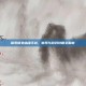 探索倩女幽魂手游，官网与游戏攻略全解析