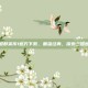 三国群英传1官方下载，重温经典，探索三国世界