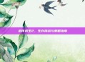 木筏求生2，生存挑战与策略指南