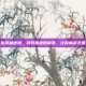 龙将加速器，游戏加速的利器，让你畅游无阻