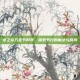 龙之谷万圣节时装，探索节日的魔法与时尚