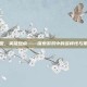 英雄联盟，英雄盘点——探索游戏中的多样性与策略深度