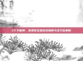 CF卡雷神,高爆发全维战法指南与全方位解析