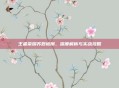 王者荣耀苏烈被削，深度解析与实战攻略