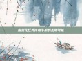 探索无任务传奇手游的无限可能