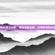 神秘海域1图文攻略，德雷克的宝藏，经典冒险的完全指南