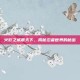 火影之威震天下，揭秘忍者世界的秘密