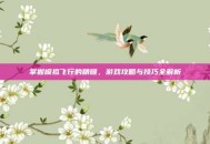 掌握模拟飞行的精髓，游戏攻略与技巧全解析