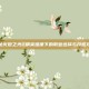 揭秘火炬之光2精英难度下的职业选择与开荒攻略