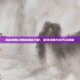 揭秘神瞳之眼的神秘力量，游戏攻略与技巧全解析