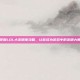 掌握LOL大发明家攻略，让你成为游戏中的发明大师