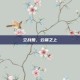 空战姬，云端之上