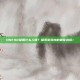 DNF40级用什么人偶？探索游戏内的最佳选择！