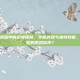揭秘王者荣耀中的貂蝉皮肤，华丽外观与独特技能，如何成为你的游戏伙伴？