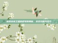 探索永恒之塔铁耙号的奥秘，游戏攻略与技巧